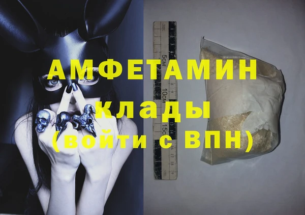 индика Алексин