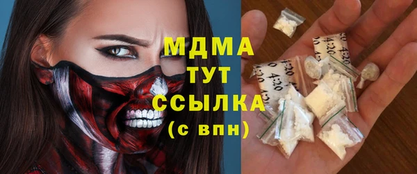 индика Алексин