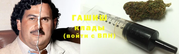 твердый Алзамай