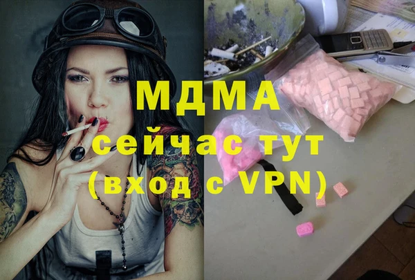 индика Алексин