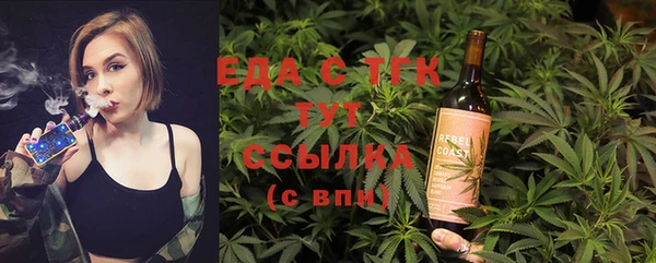 индика Алексин