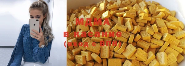 индика Алексин