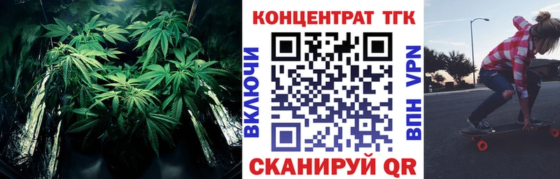 omg как войти  Ишим  ТГК вейп 