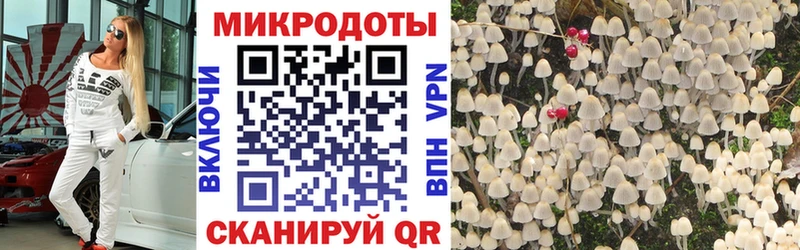 Галлюциногенные грибы Cubensis даркнет сайт Ишим